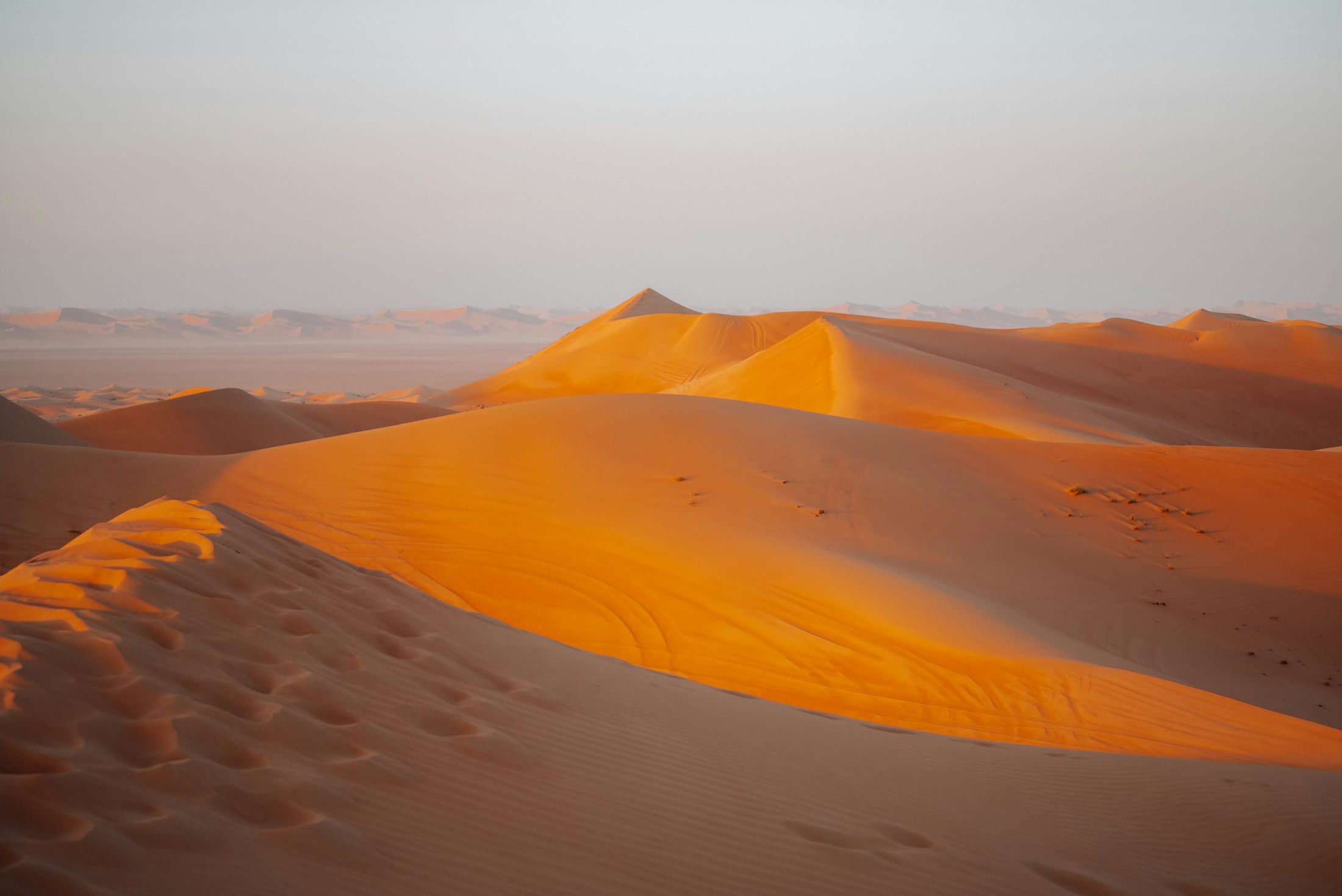Dubai desert